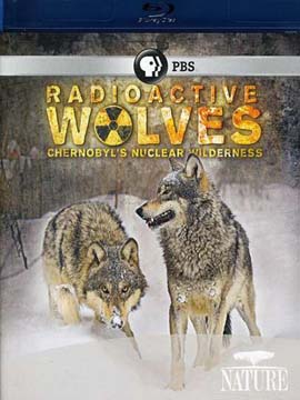 Radioactive Wolves