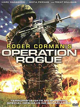 Operation Rogue