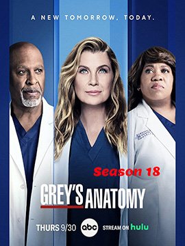 Grey's Anatomy - The Complete Season 18