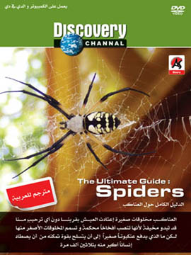 The Ultimate Guide : Spiders
