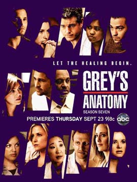 Grey's Anatomy - The Complete Season Seven