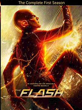 The Flash - The Complete Season One