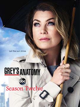 Grey's Anatomy - The Complete Season 12