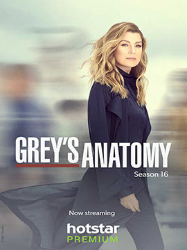 Grey's Anatomy - The Complete Season 16